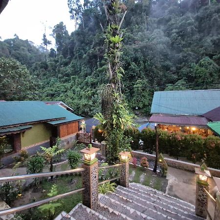 Sam'S Bungalows And Treks Bukit Lawang Dış mekan fotoğraf