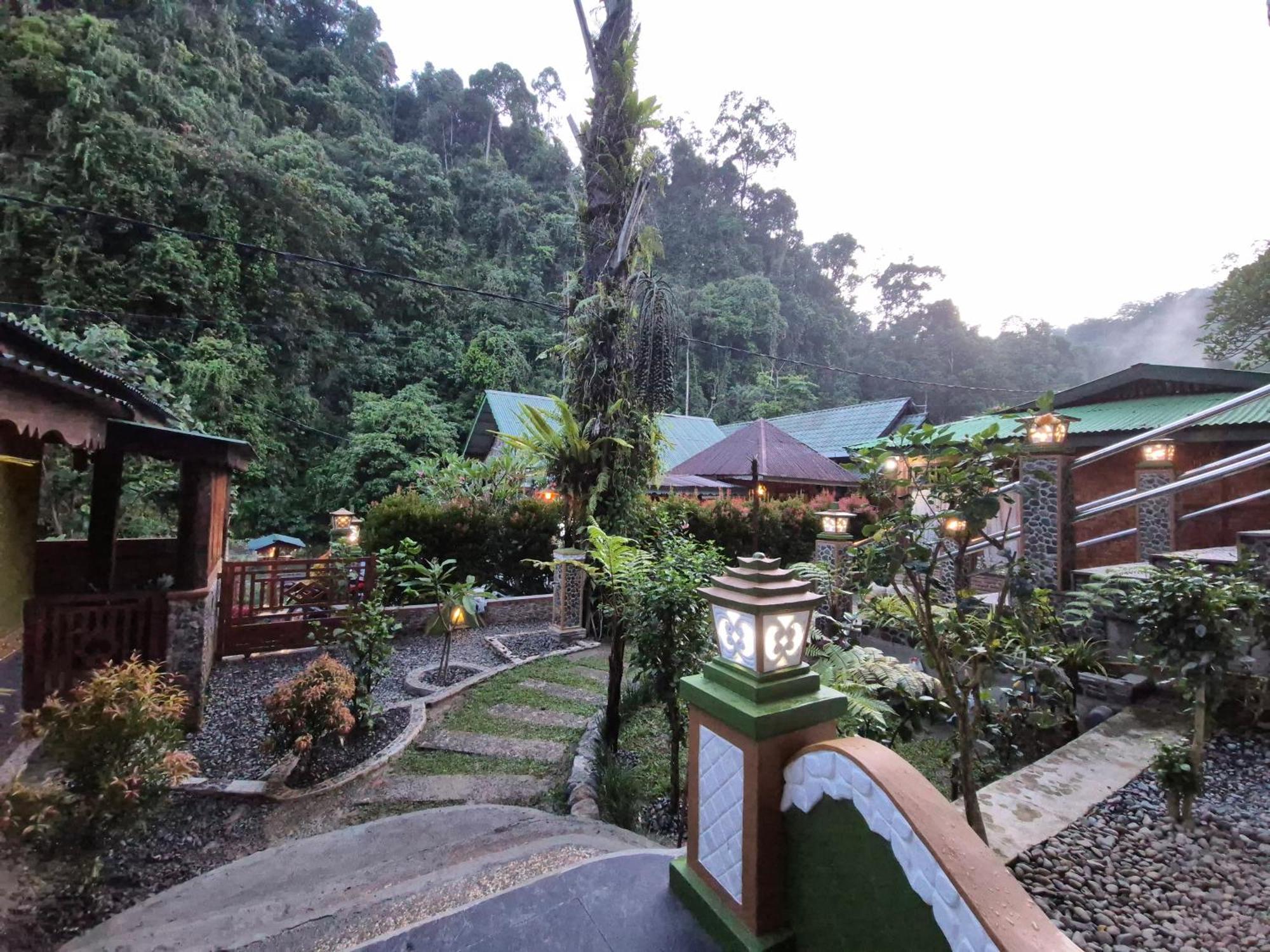 Sam'S Bungalows And Treks Bukit Lawang Dış mekan fotoğraf